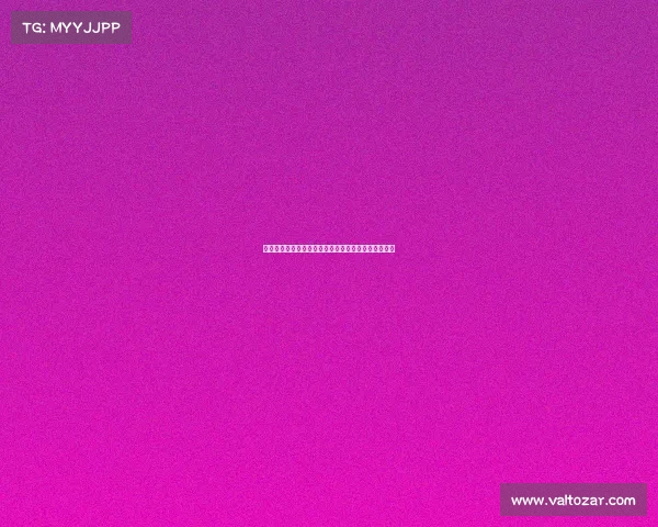 上海女排再创辉煌全新阵容力拼赛季目标力争冠军荣耀 上海女排再创辉煌全新阵容力拼赛季目标力争冠军荣耀